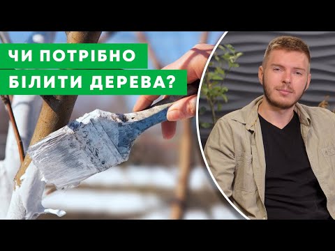 Видео: ПРИПИНІТЬ БІЛИТИ ДЕРЕВА! | Яку шкоду завдає побілка деревам? Розбираємо недоліки | Agro-Market.ua