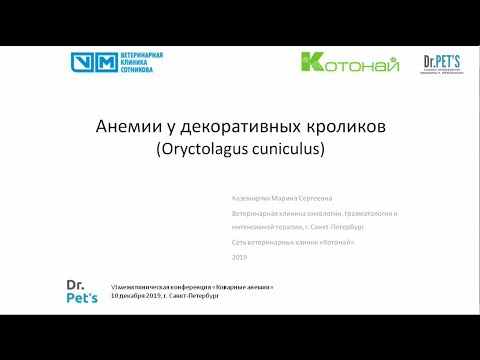 Видео: Анемии у декоративных кроликов (Oryctolagus cuniculus)