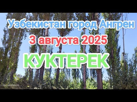 Видео: Узбекистан Ангрен Куктерек 3 августа 2025 г.
