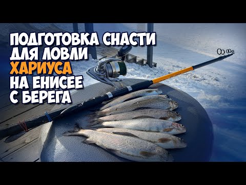 Видео: Подготовка снасти для ловли хариуса на Енисее с берега.