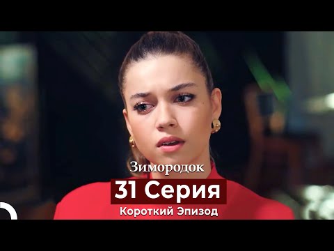 Видео: Зимородок 31 Cерия (Короткий Эпизод) (Русский дубляж)