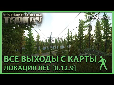 Видео: Все выходы с карты | Локация Лес | Escape from Tarkov