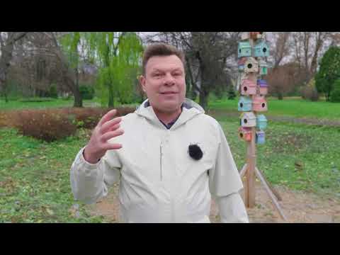 Видео: 281-й выпуск "В кольце друзей"