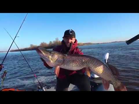 Видео: ТОП-10 ВОДНЫХ МОНСТРОВ!!! Когда либо пойманные и снятые на камеру))