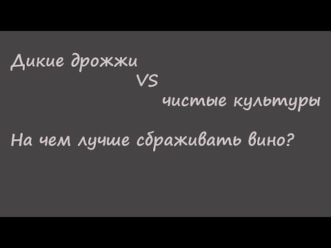 Видео: Дикие дрожжи vs чистые культуры. На чем сбраживать вино?