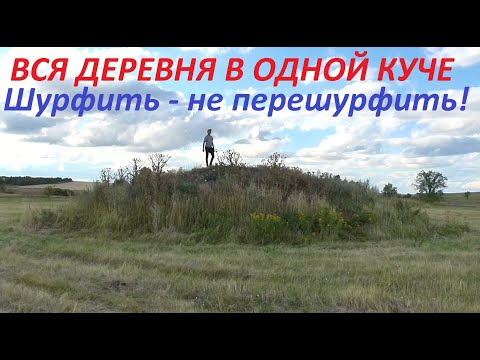 Видео: ВСЯ ДЕРЕВНЯ В ОДНОЙ КУЧЕ. Шурфить- не перешурфить!