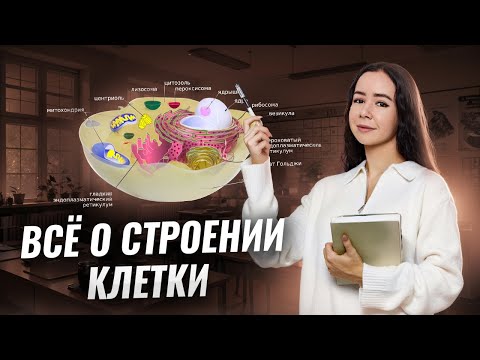 Видео: Строение клетки для ЕГЭ по биологии (Задания 5, 6, 7, 8) | Умскул