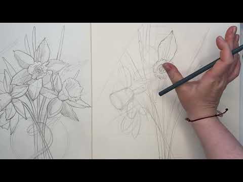 Видео: Рисуем нарциссы