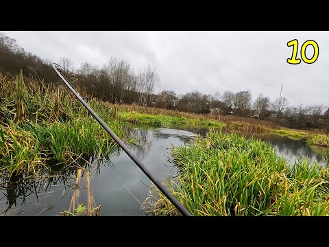 Видео: БЕШЕНЫЙ КЛЁВ ЩУКИ В ДИКОМ БОЛОТЕ !!! ➔ ч.10 Вот это рыбалка !