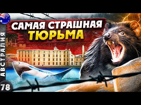 Видео: ТАСМАНИЯ | Печальное ПРОШЛОЕ и счастливое НАСТОЯЩЕЕ | Тасманский ДЬЯВОЛ