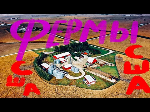 Видео: Ферма в Америке . Жизнь в Америке. Путешествие эмигрантки. США жизнь. Жизнь фермеров в Америке.