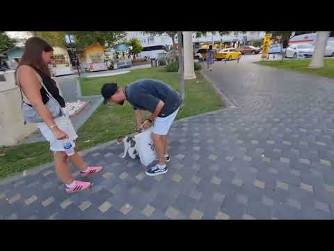 Видео: ВЕЧЕРНИЙ КЕМЕР