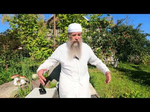 Видео: Белое монашество  -  Путь спасения от Серафима Саровского и других