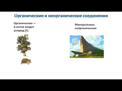 Видео: Органические и неорганические соединения