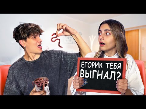 Видео: ОТВЕЧАЙ или СТРАДАЙ с МИШЕЙ ВАЙСОМ *Мы рассказали всё*