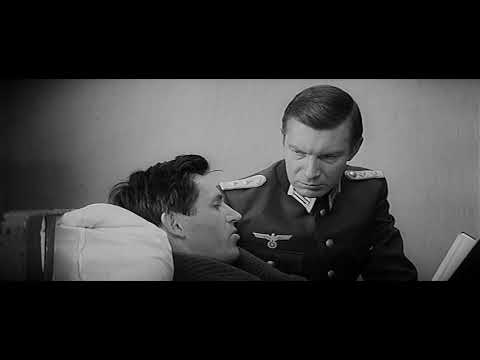 Видео: Щит и меч крэк