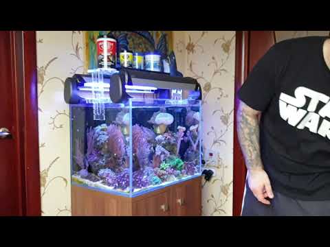 Видео: Корм для рыб.