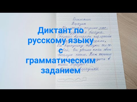 Видео: Диктант по русскому языку с грамматическим заданием