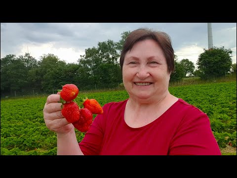 Видео: Клубника со сливками!Десерт нашего детства!