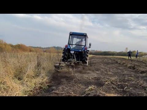 Видео: Роторний плуг 3-35 по дуже зарослому полі. ISEKI 80 к.с