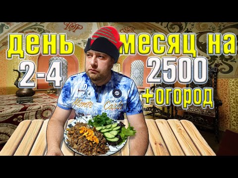 Видео: Месяц  2500 рублей  на еду + огород. День 2-4.
