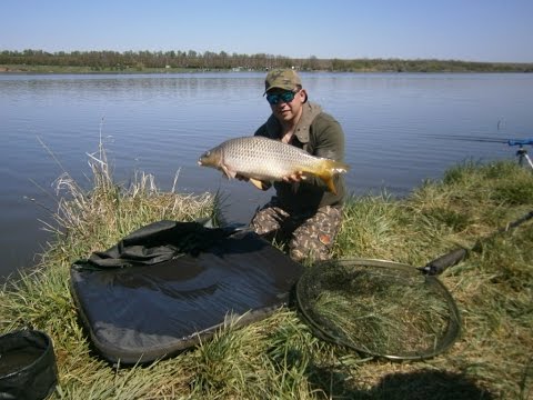 Видео: Весенний карп-фишинг на пруду. Мастер-класс 338HD. О рыбалке всерьез