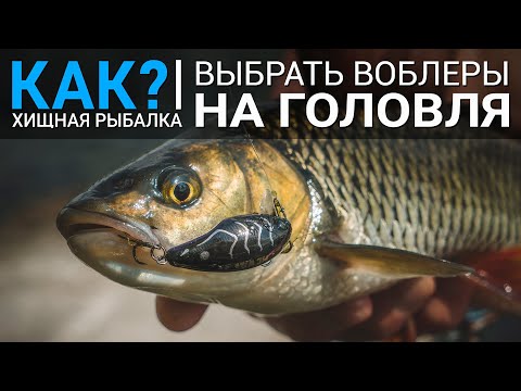 Видео: Как выбрать воблеры на голавля?