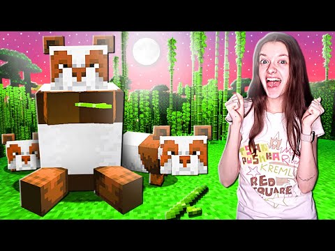 Видео: ПРИРУЧИЛИ КОРИЧНЕВУЮ ПАНДУ В МАЙНКРАФТ!