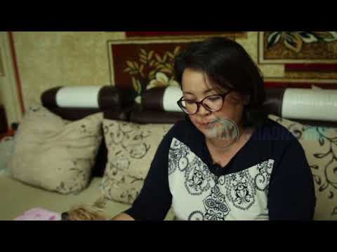 Видео: Yorkshire Terrier нохой ороо нь орох үед юу хийх вэ