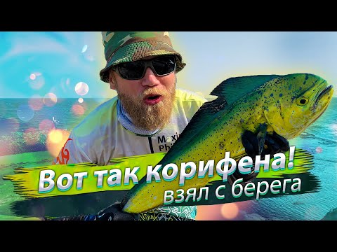 Видео: ВОТ ЭТО КОРИФЕНА! Морская рыбалка с берега. Сёрфтроллинг. 2019/08