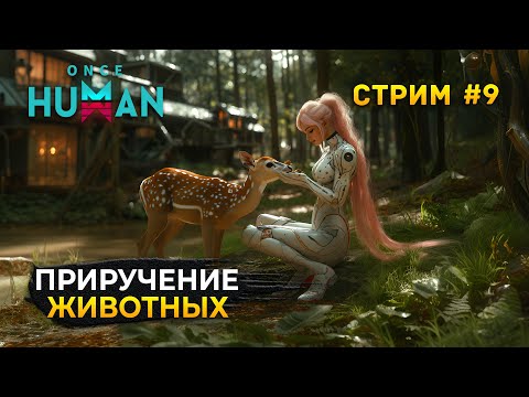 Видео: Стрим Once Human #9 - Приручение животных. Выживание в мире после Апокалипсиса