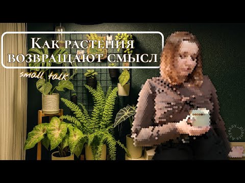 Видео: Зелёная терапия: как РАСТЕНИЯ лечат выгорание и почему рядом с ними так спокойно