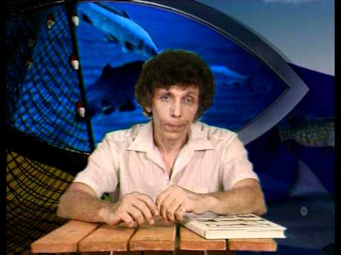 Видео: Диалоги о рыбалке - Спиннинг