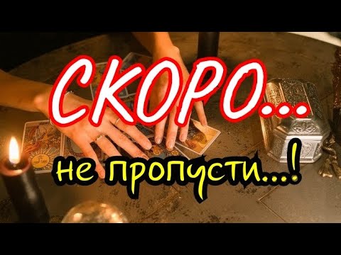 Видео: #ТАРО.🌿 ЧТО НА ПОРОГЕ. ⁉️ КАКИЕ НОВОСТИ И СОБЫТИЯ🍀