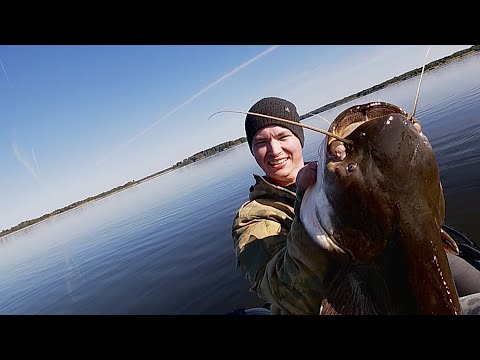 Видео: Удомельский СОМ-ГИГАНТ на КВОК! Трофейная рыбалка!