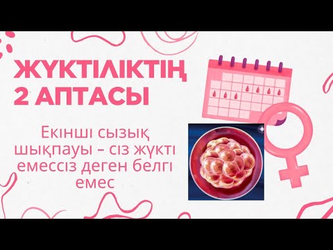 Видео: ЖҮКІТІЛІКТІҢ 2 аптасы/ ЖҮКТІЛІКТІҢ АЛҒАШҚЫ БЕЛГІЛЕРІ