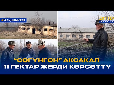Видео: “СӨГҮНГӨН” АКСАКАЛ  11 ГЕКТАР ЖЕРДИ КӨРСӨТТҮ