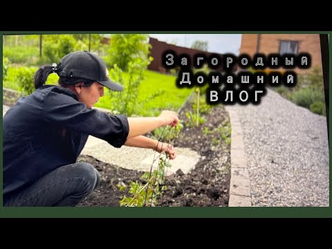Видео: ВЛОГ Загородный Домашний 🍀 / Дела по дому и участку