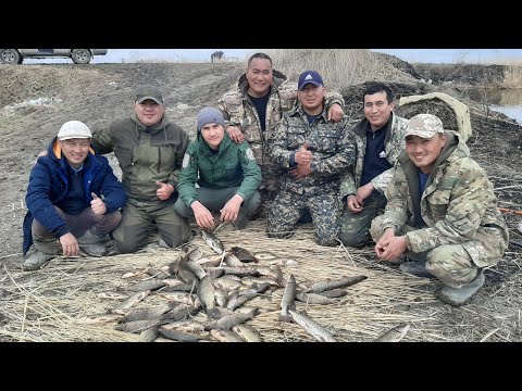 Видео: НАУРЫЗ АЙЫНДА ШОРТАН МЕН САЗАН АУЛАУ. ( ҚЫЗЫЛОРДА ОБЛЫСЫ ) ЖАҚСЫ ДЕМАЛЫС БОЛДЫ.