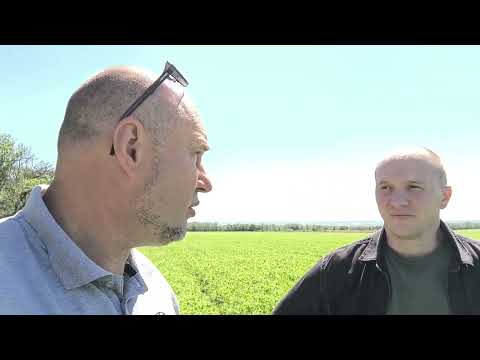 Видео: 7 июня 2025 г.