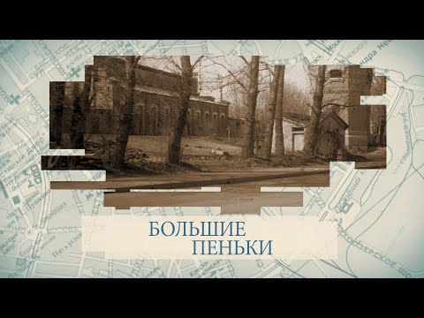 Видео: Большие пеньки / «Малые родины большого Петербурга»