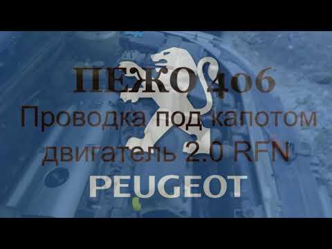 Видео: Пежо 406. 2003 г. RFN. Проводка под капотом. Ревизия.