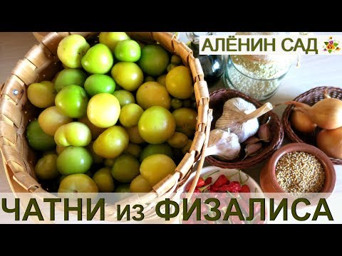 Видео: ЧТО ТАКОЕ ЧАТНИ? Чатни из физалиса или томатилло 🍅 Tomatillo Chutney