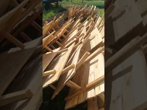 Видео: Кормежка малька в корексах, система полива, высадка на поле | Улиточная ферма Royal Snail