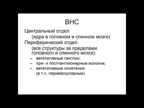 Видео: Вегетативная нервная система