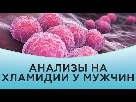 Видео: Анализы на хламидии у мужчин