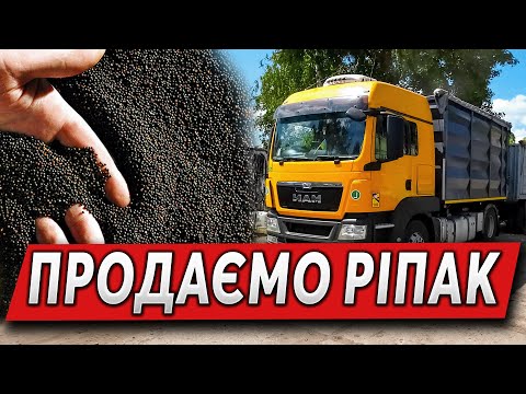 Видео: MAN працює💪 Возимо на НІБУЛОН. Брат новий блогер👍