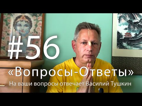 Видео: "Вопросы-Ответы", Выпуск #56 - Василий Тушкин отвечает на ваши вопросы