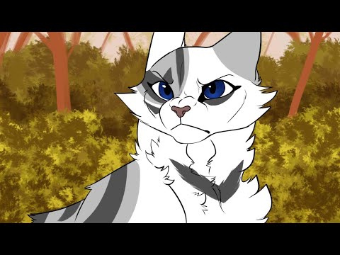 Видео: •[Коты~Воители] {Искра} Shatter me |заказ с канала Cat Warrior Family|•