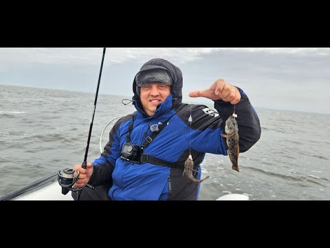 Видео: Річкове золото, або справжній Дніпровський делікатес!!! Смачнющий смажений БИЧОК, Кнут...